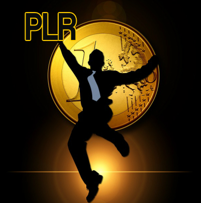 Creative Ways to Earn Money with PLR Products