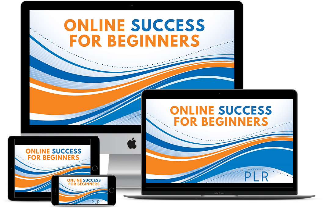 three steps to be successful with PLR