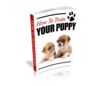 How to Train Your Puppy