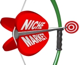 What is a niche market and how to earn US $ 30 a day