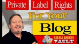 How to sell PLR resale products online with blog